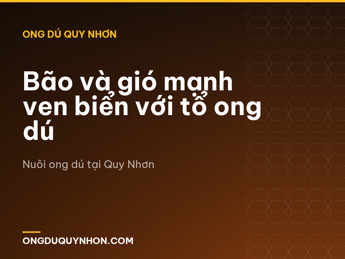Bão và gió mạnh ven biển với tổ ong dú