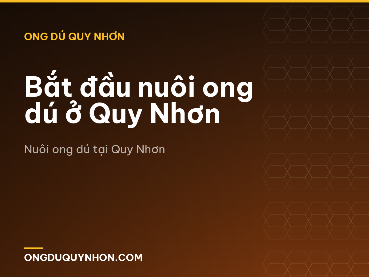 Bắt đầu nuôi ong dú ở Quy Nhơn