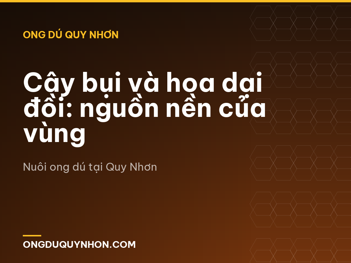 Cây bụi và hoa dại đồi: nguồn nền của vùng
