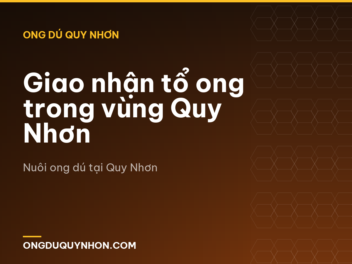 Giao nhận tổ ong trong vùng Quy Nhơn