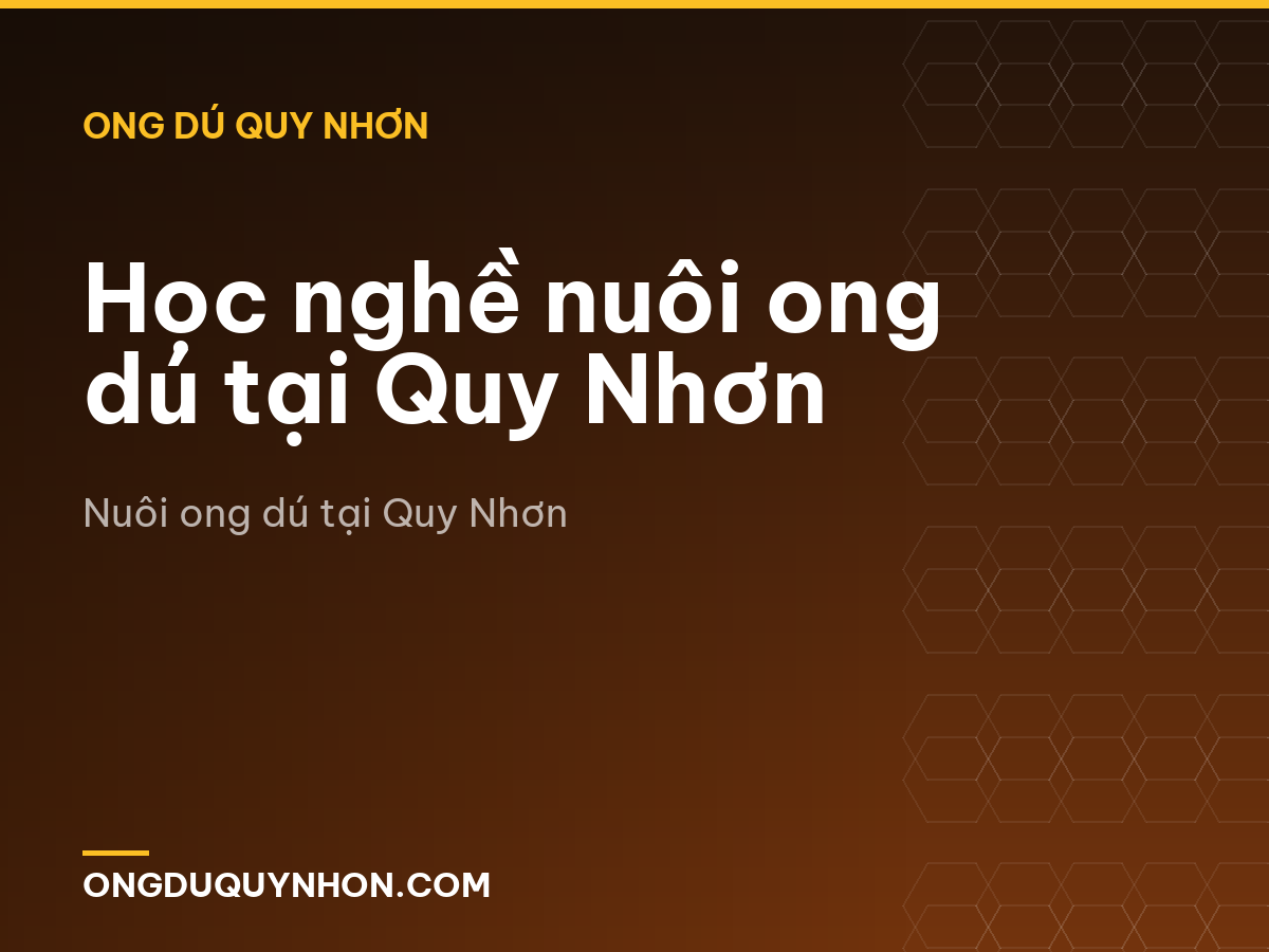 Học nghề nuôi ong dú tại Quy Nhơn