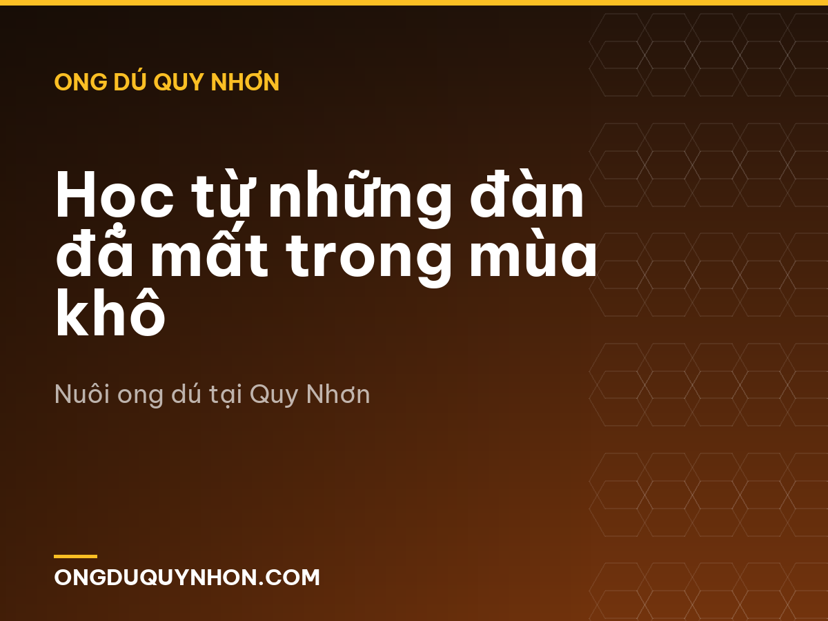 Học từ những đàn đã mất trong mùa khô