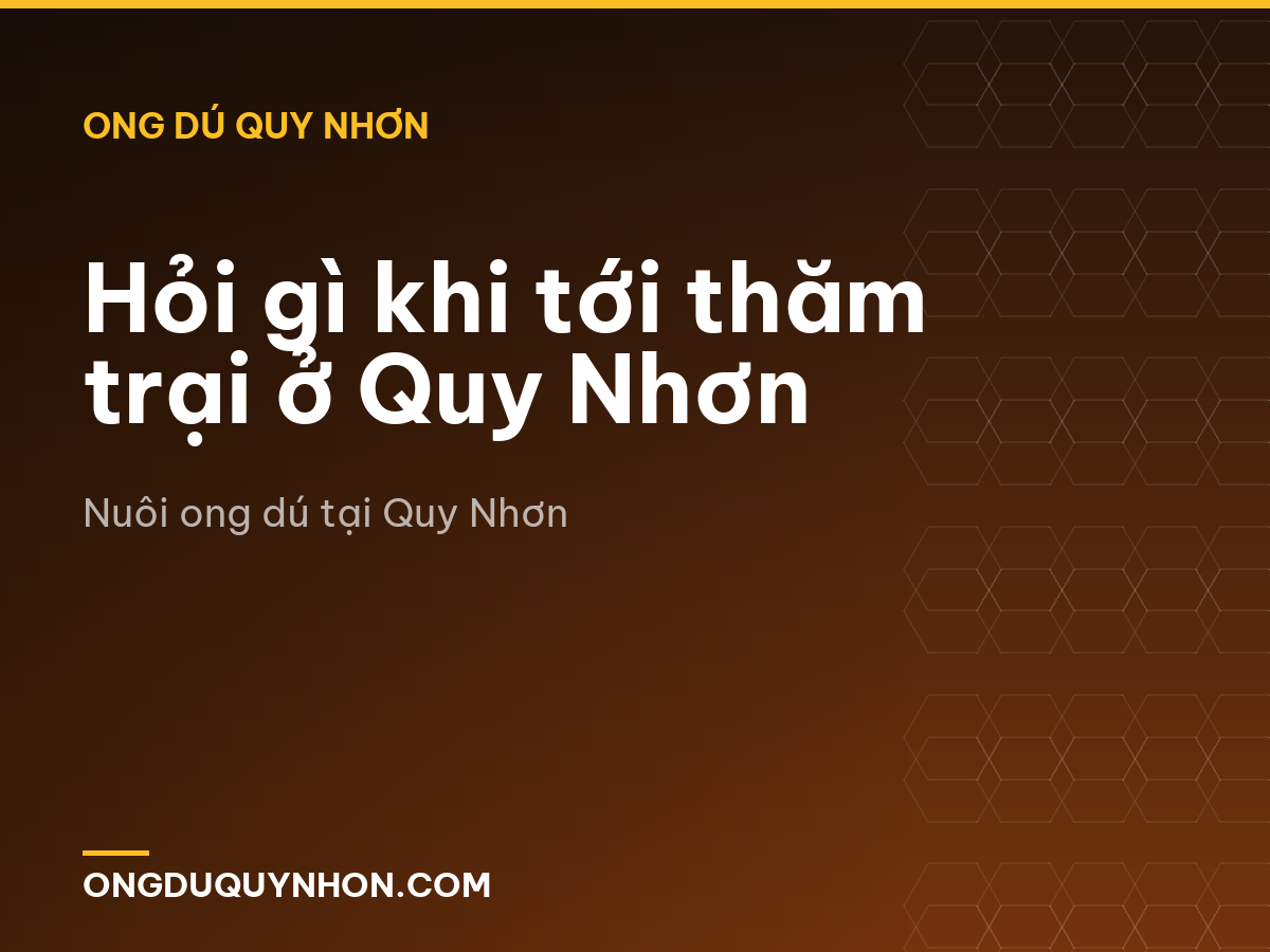 Hỏi gì khi tới thăm trại ở Quy Nhơn