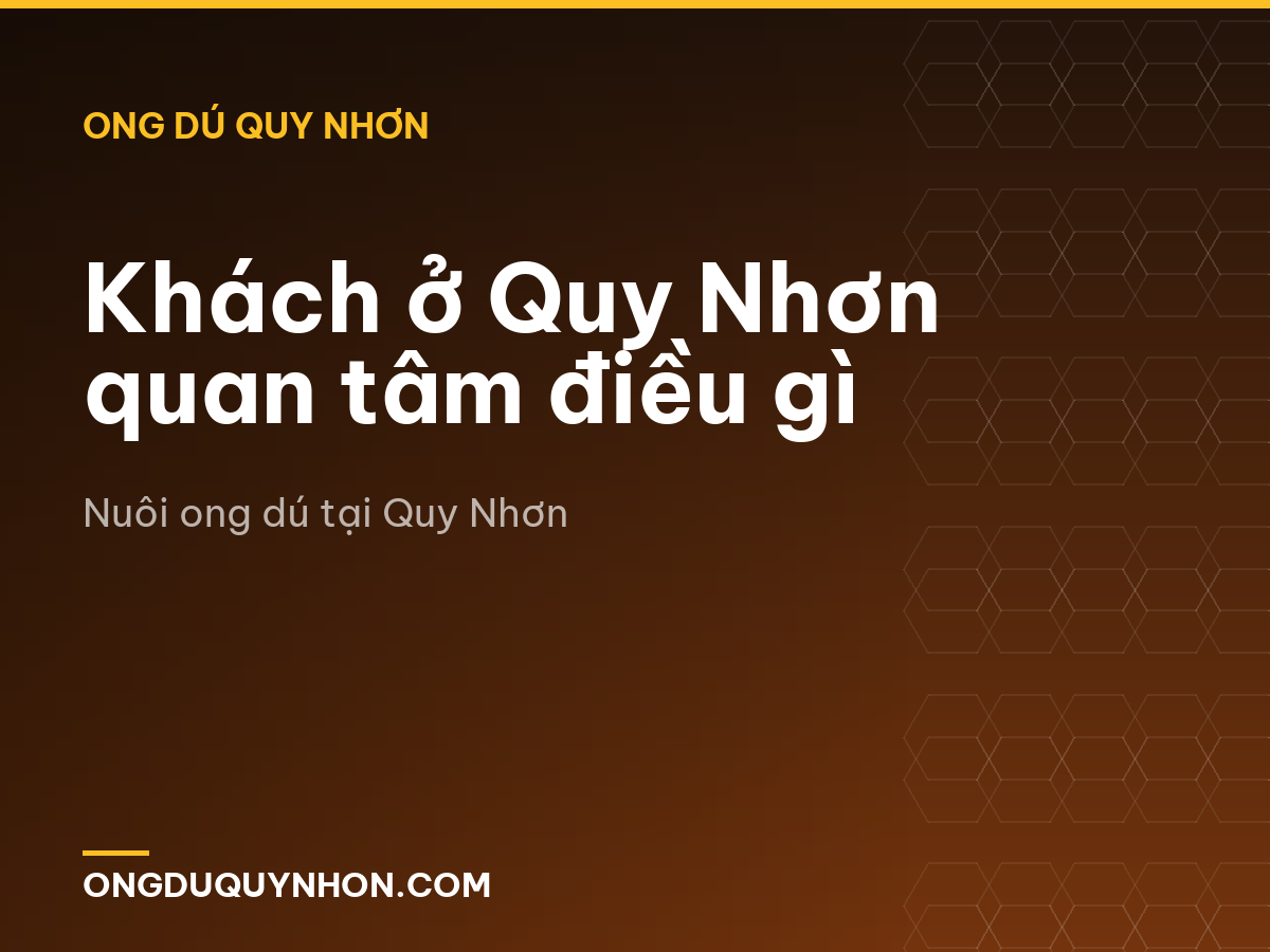 Khách ở Quy Nhơn quan tâm điều gì