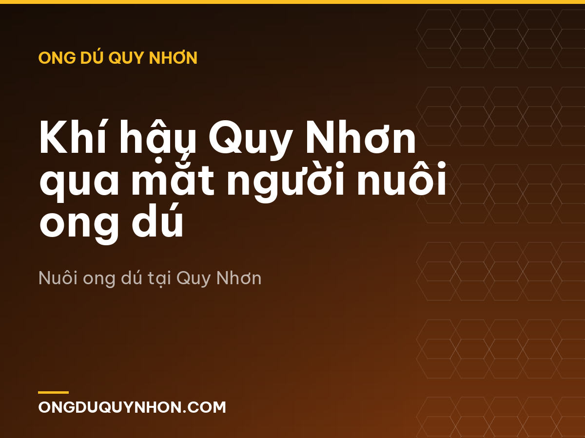 Khí hậu Quy Nhơn qua mắt người nuôi ong dú