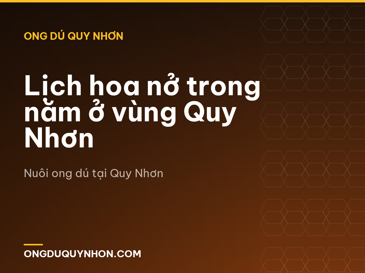 Lịch hoa nở trong năm ở vùng Quy Nhơn