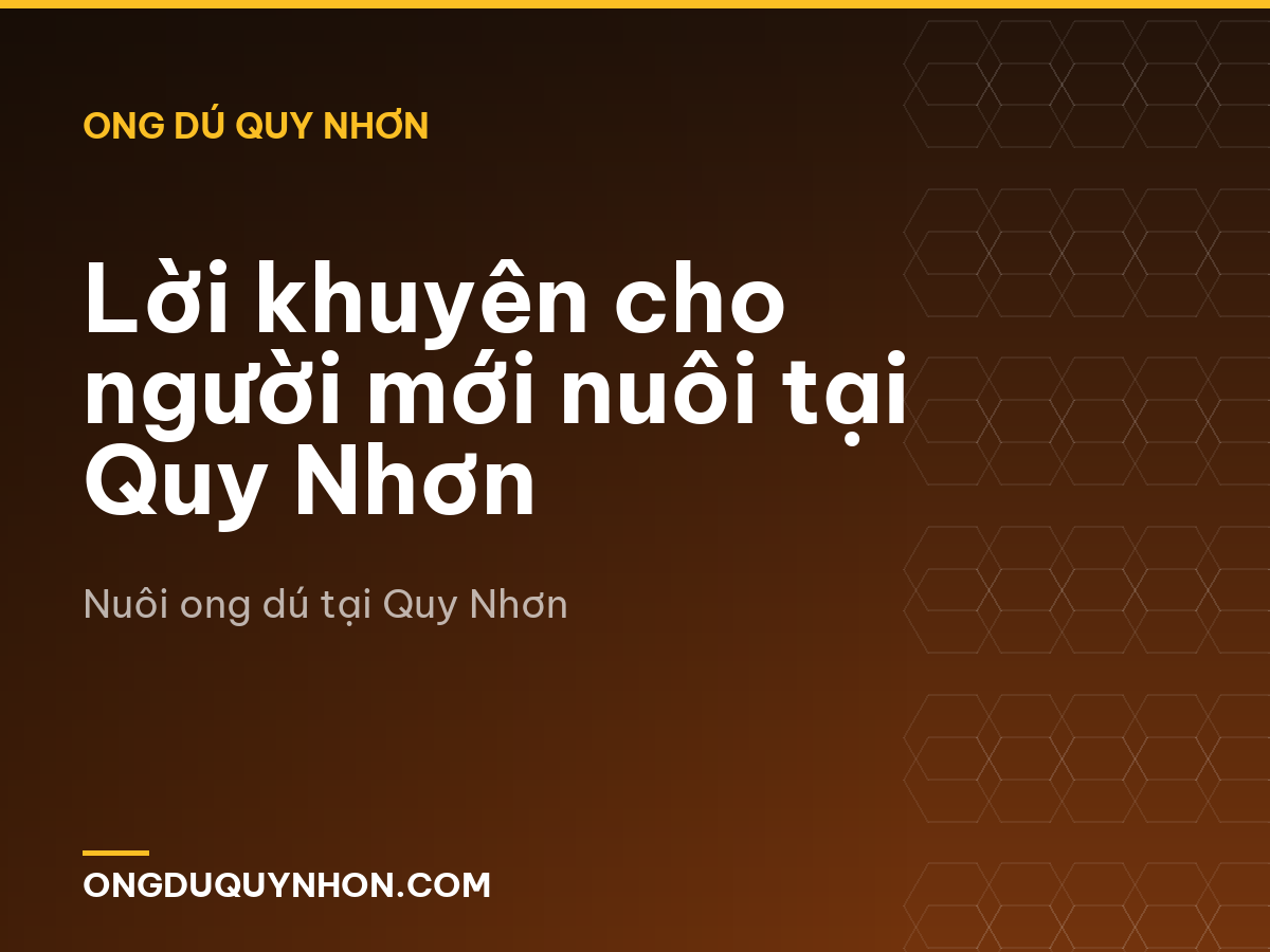 Lời khuyên cho người mới nuôi tại Quy Nhơn