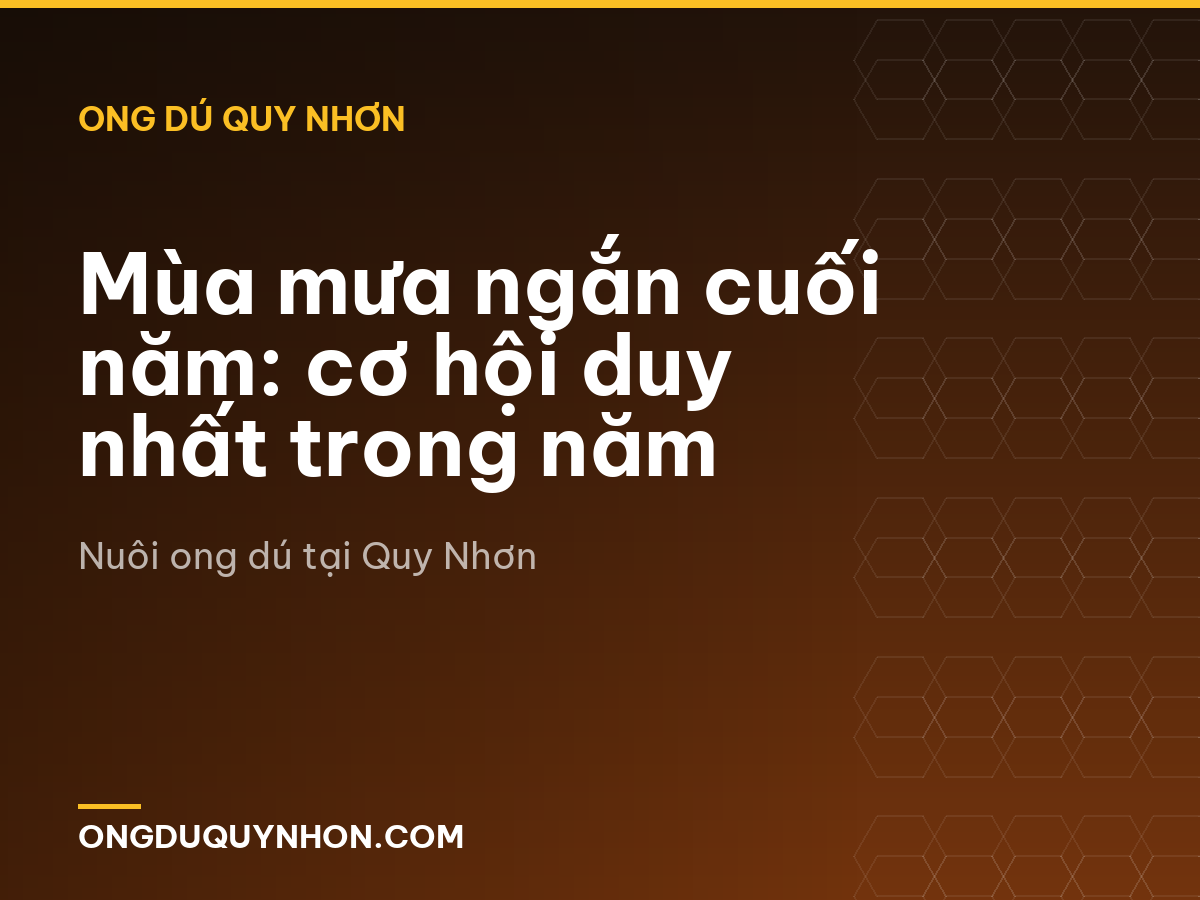 Mùa mưa ngắn cuối năm: cơ hội duy nhất trong năm