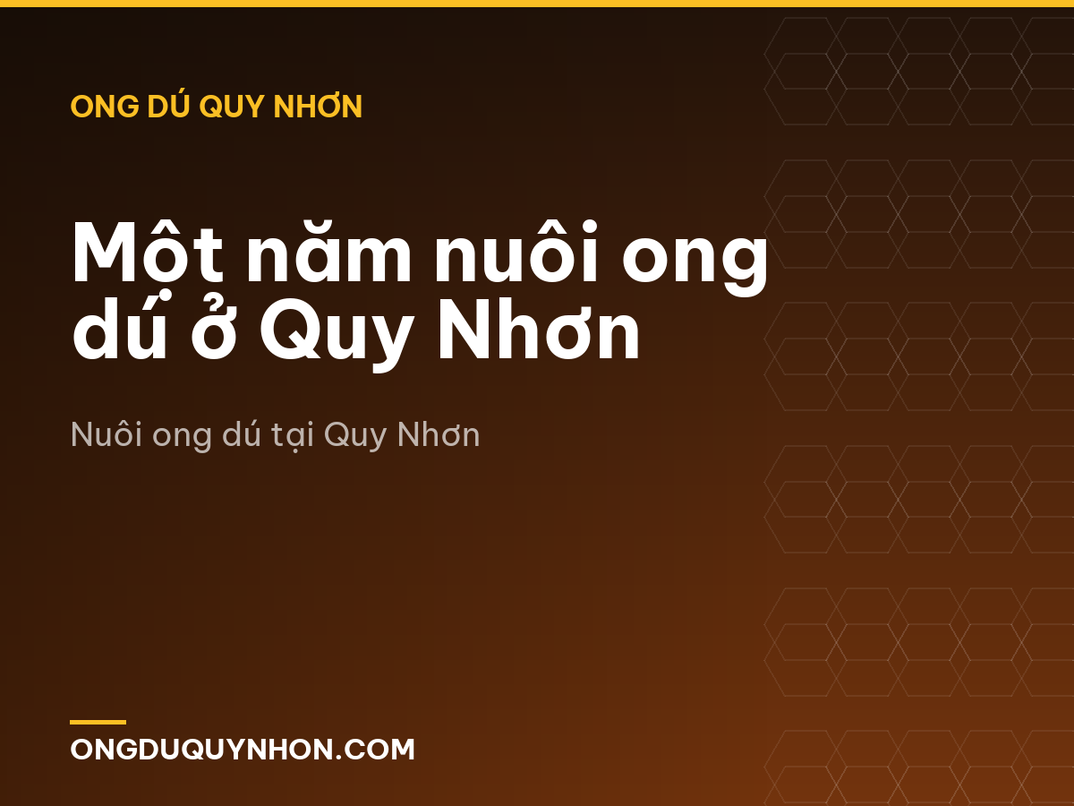 Một năm nuôi ong dú ở Quy Nhơn