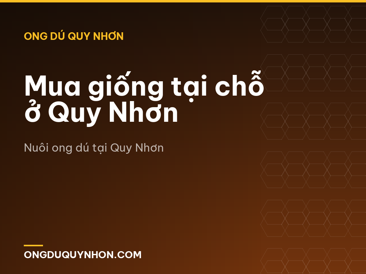 Mua giống tại chỗ ở Quy Nhơn