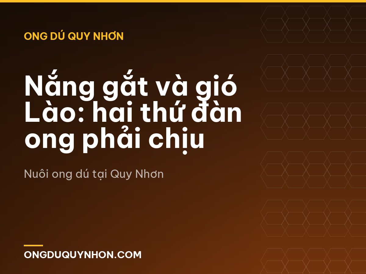 Nắng gắt và gió Lào: hai thứ đàn ong phải chịu