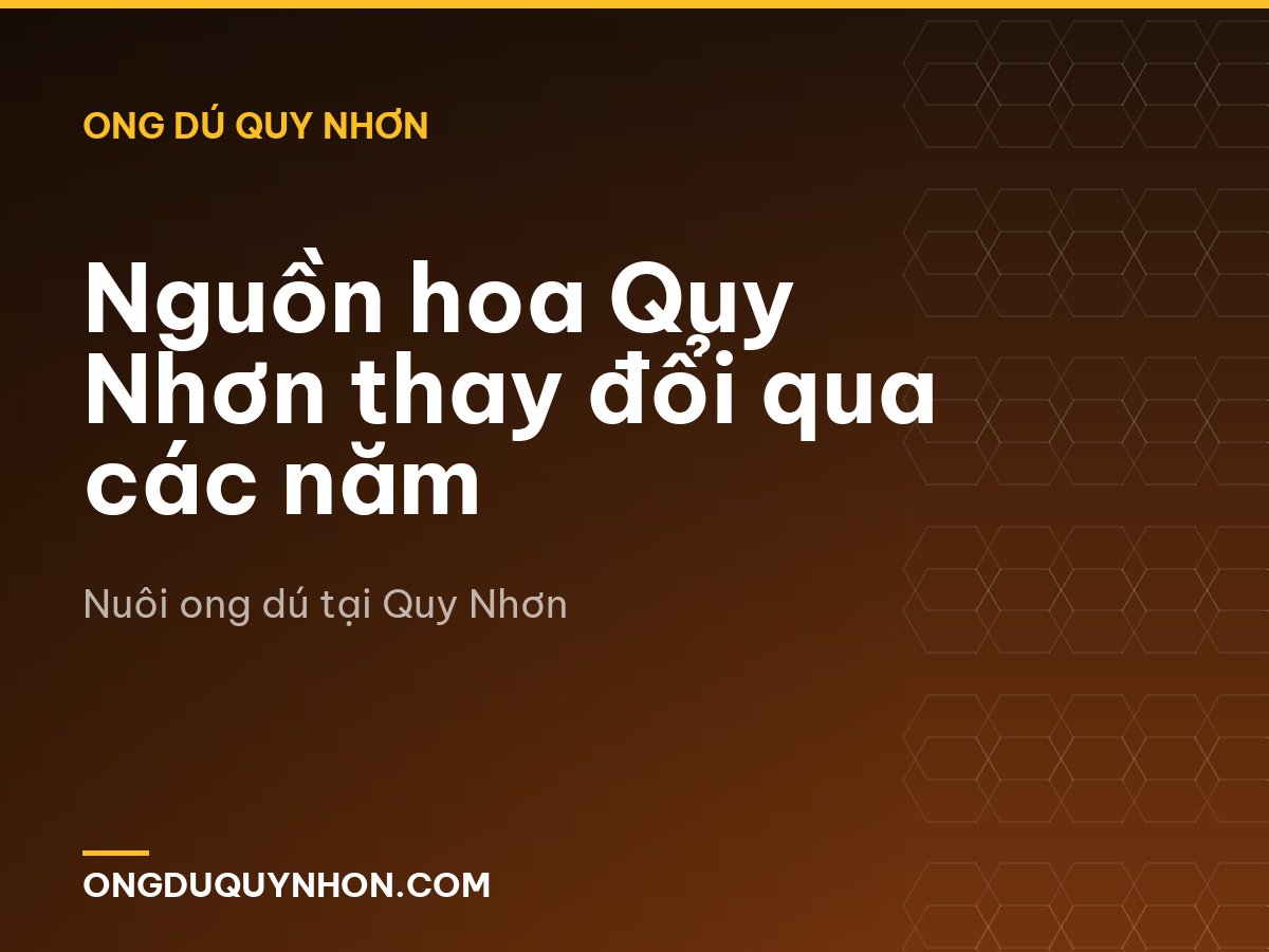 Nguồn hoa Quy Nhơn thay đổi qua các năm