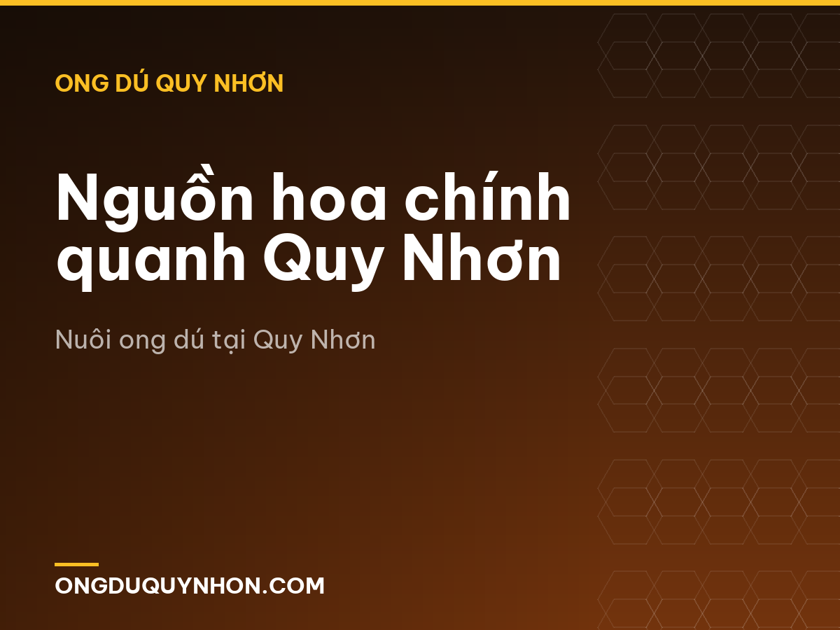 Nguồn hoa chính quanh Quy Nhơn