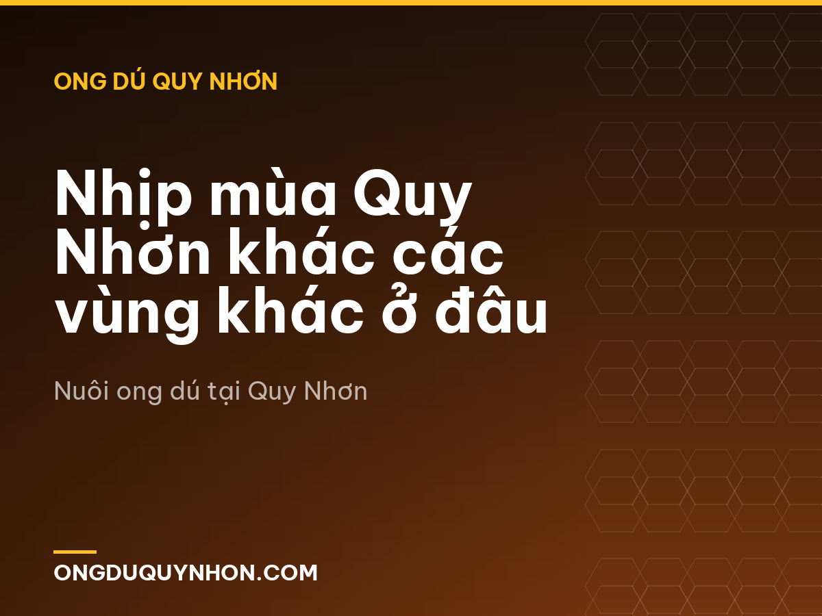 Nhịp mùa Quy Nhơn khác các vùng khác ở đâu
