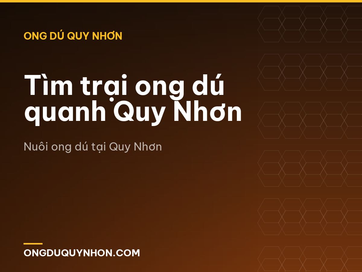 Tìm trại ong dú quanh Quy Nhơn