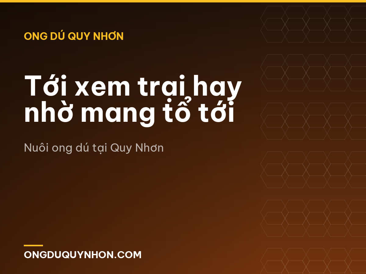 Tới xem trại hay nhờ mang tổ tới