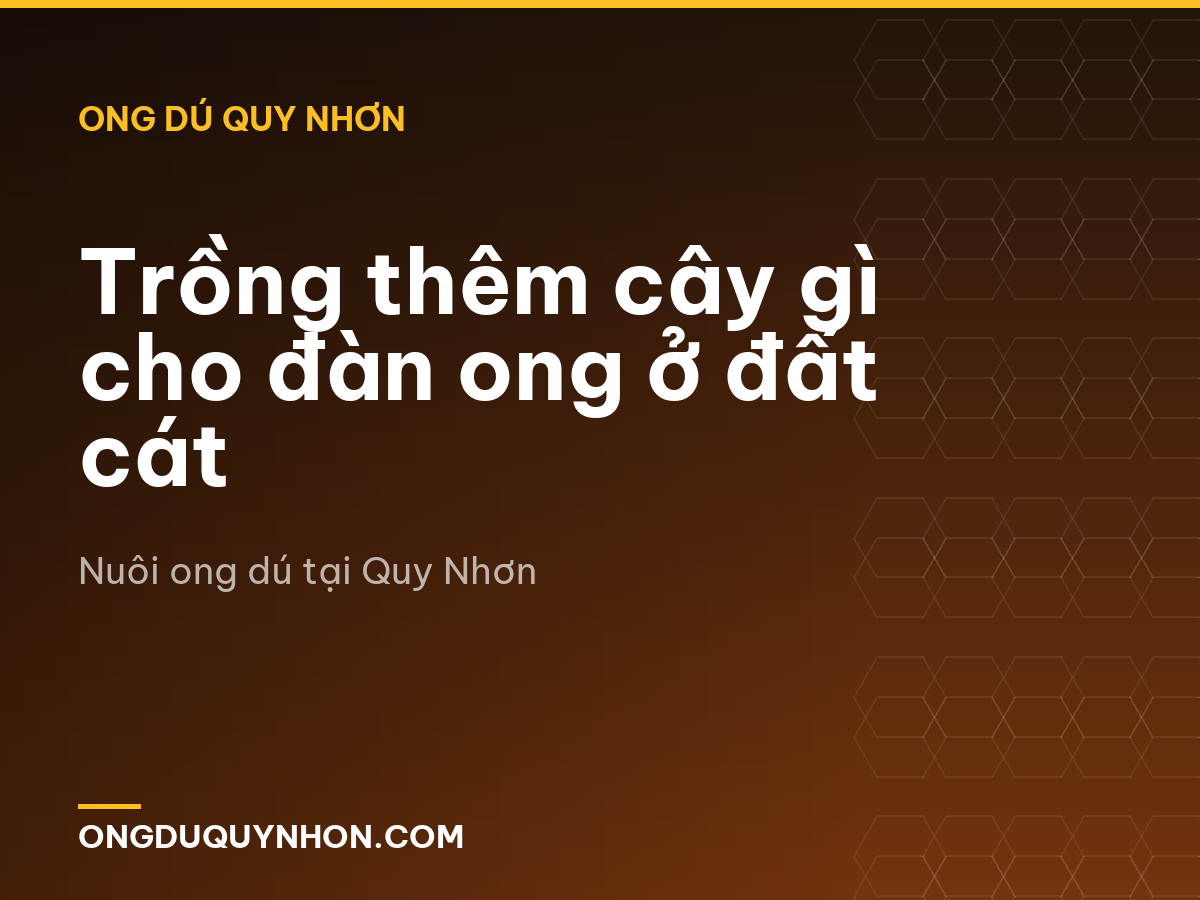 Trồng thêm cây gì cho đàn ong ở đất cát