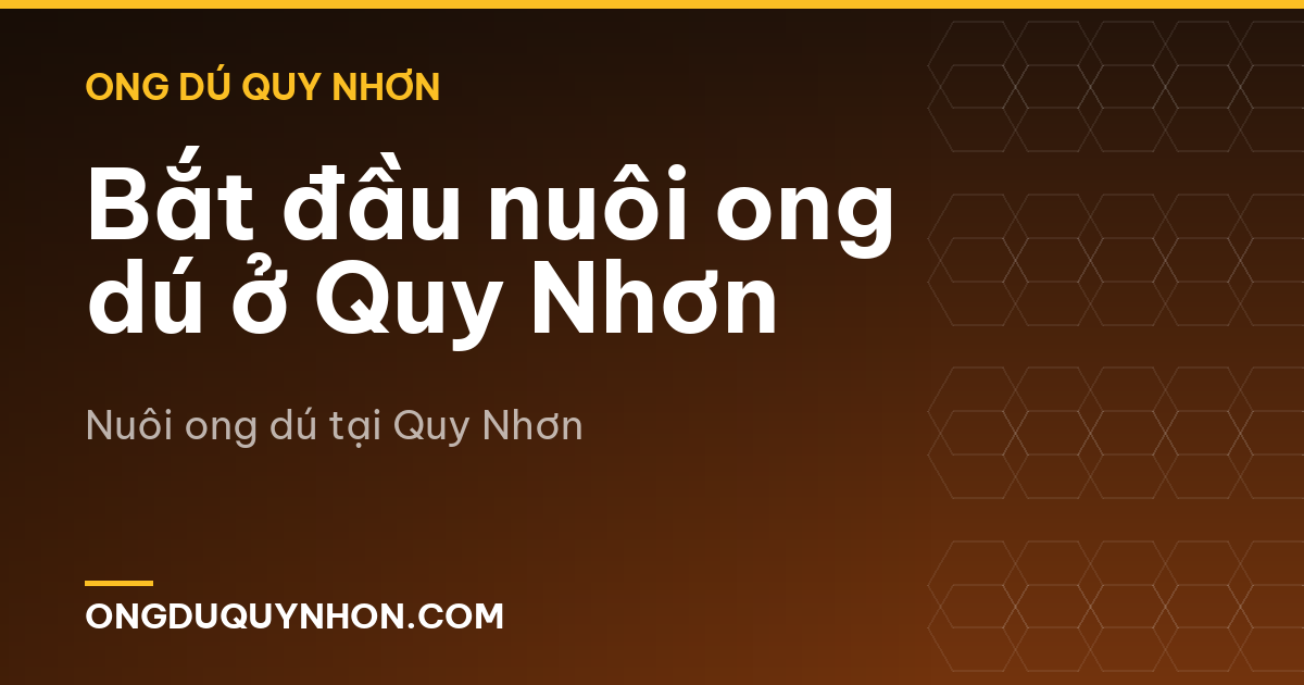 Bắt đầu nuôi ong dú ở Quy Nhơn