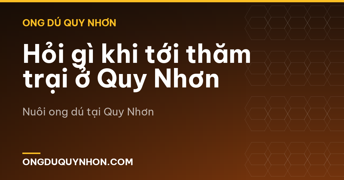 Hỏi gì khi tới thăm trại ở Quy Nhơn