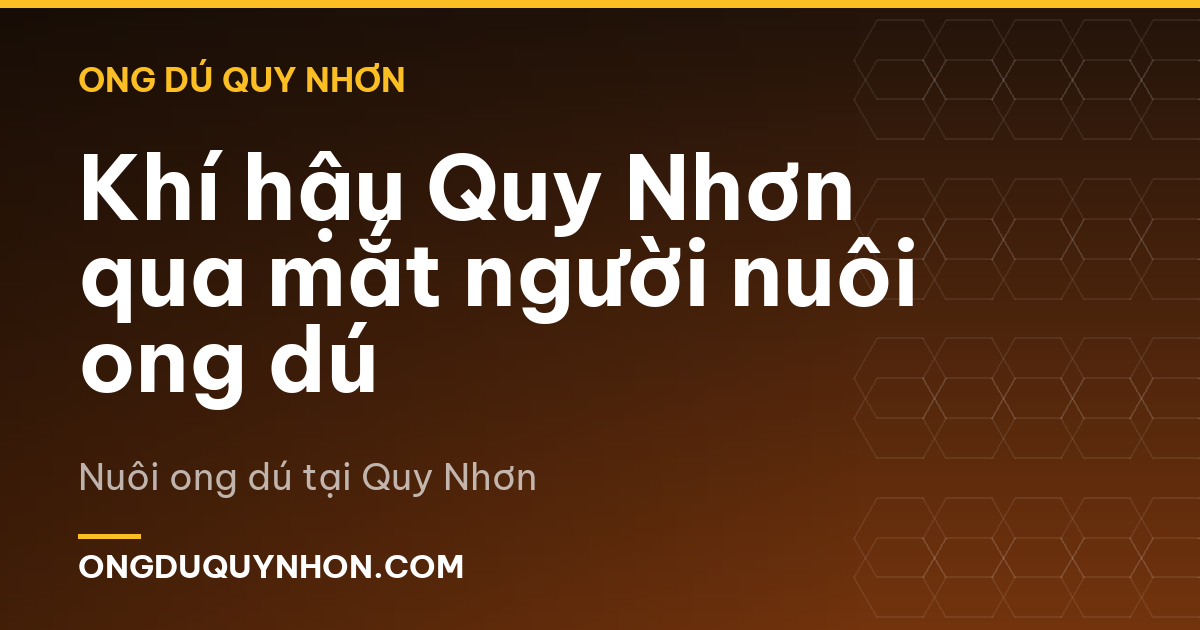 Khí hậu Quy Nhơn qua mắt người nuôi ong dú